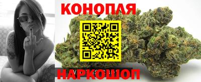 прущие грибы Ставрополь