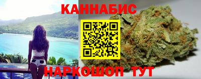 прущие грибы Ставрополь