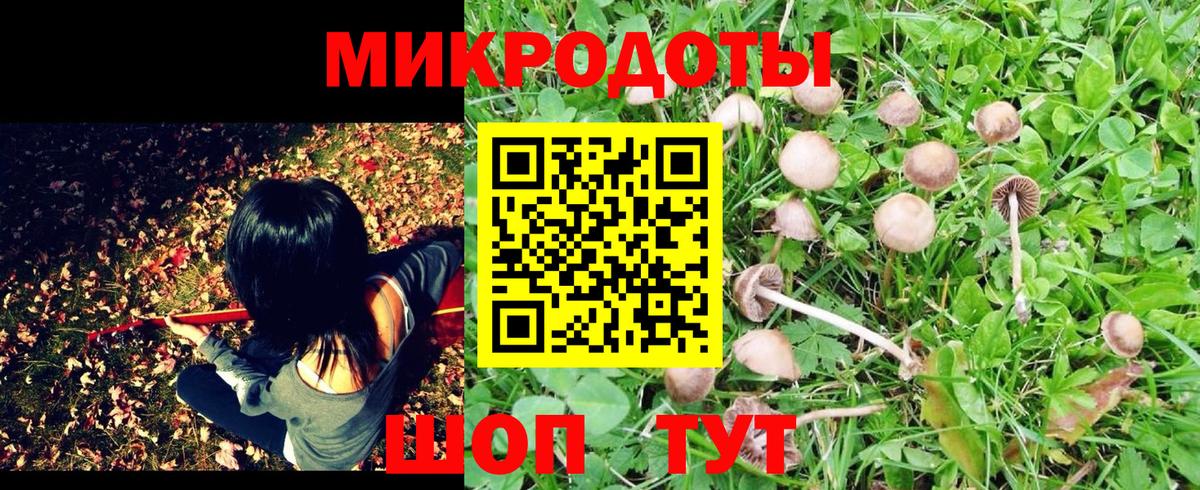 Галлюциногенные грибы Magic Shrooms Новочеркасск